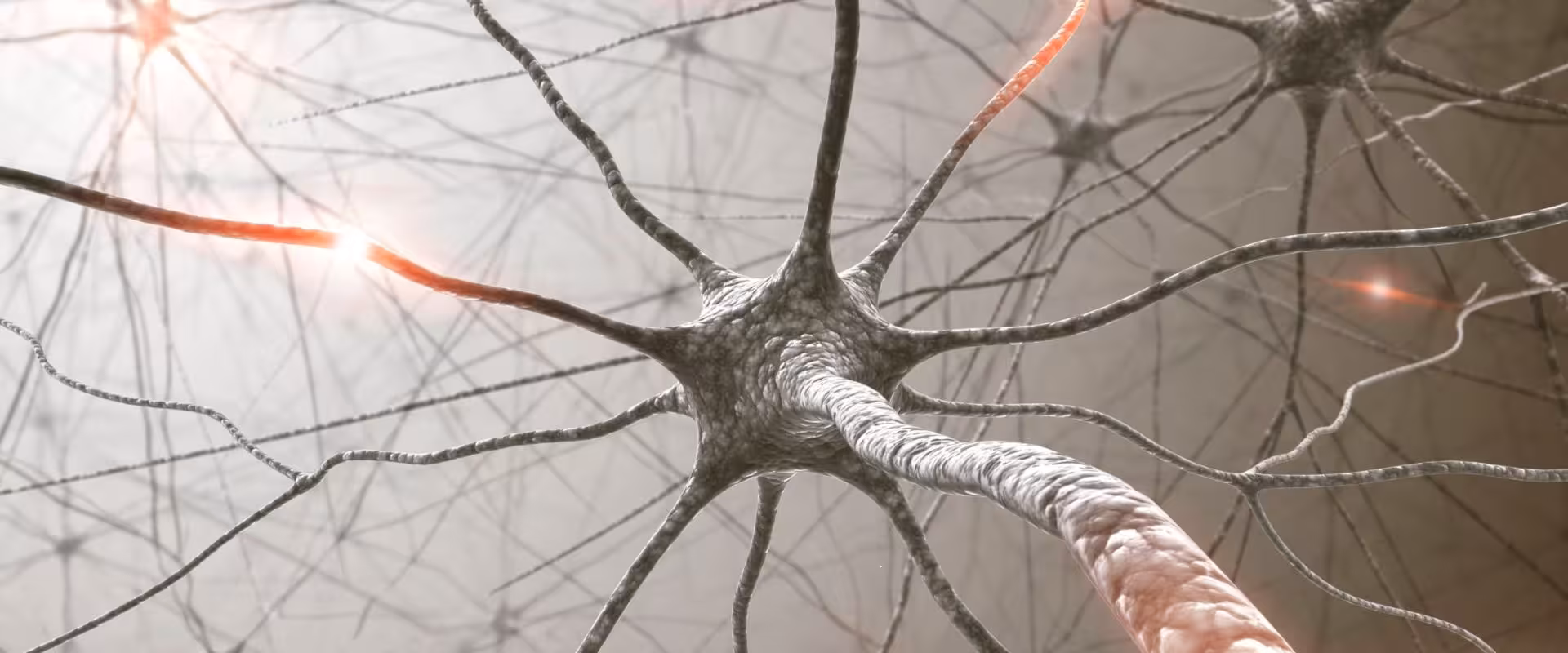 Terapeuta especializado do Instituto Ahau aplicando Terapia Biofísica, demonstrando tratamento no nível celular e energético, restaurando memória funcional das células e promovendo realinhamento profundo da saúde integral