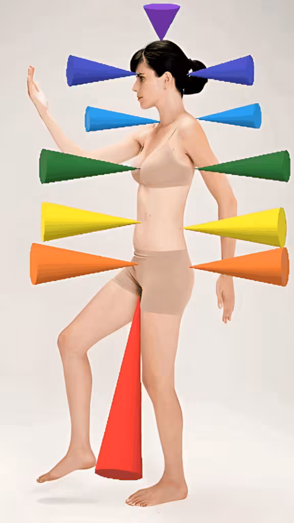 anatomia sutil e os chakras vortice de energia