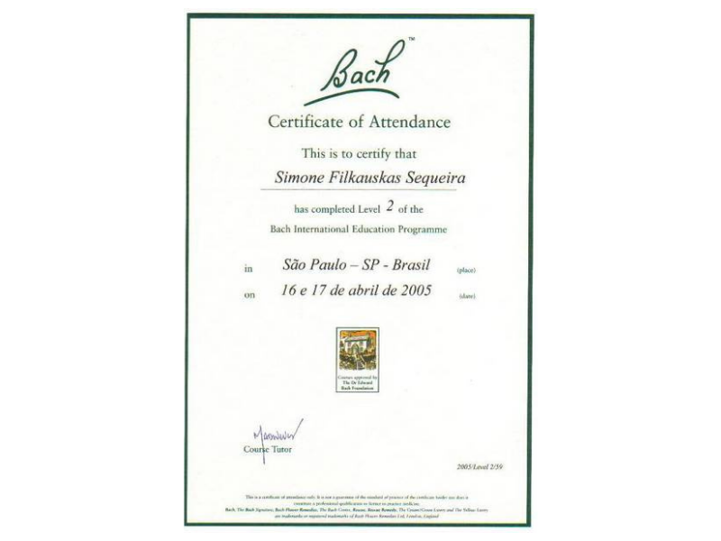 curso-florais-de-bach-2