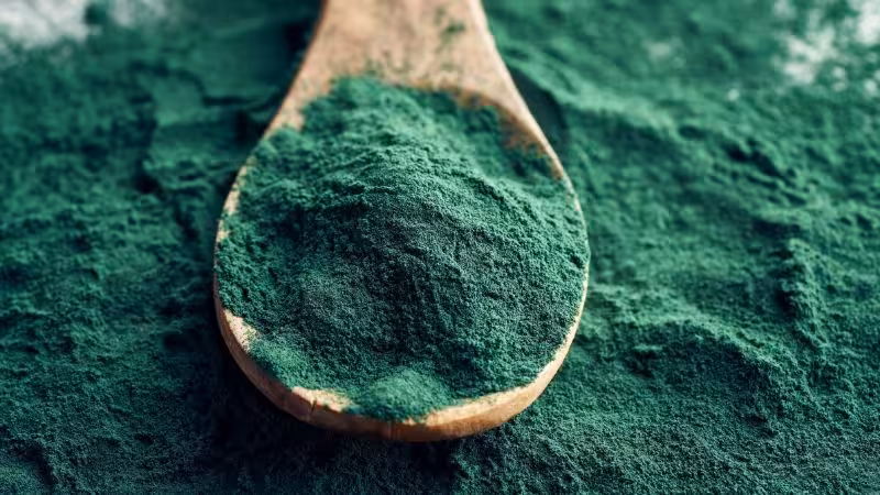 Ilustração sobre espirulina, associada a antioxidantes, suporte imunológico, metabolismo, energia e evidências científicas atuais
